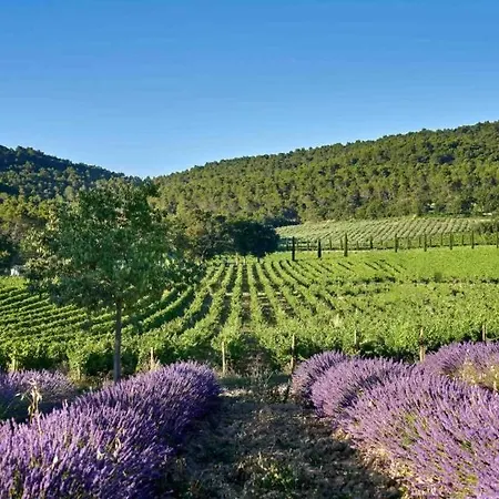 La Quille - Maison De Hameau En Provence Pour 4 Personnes Avec Jardin Privatif Casa vacanze Le Puy-Sainte-Réparade